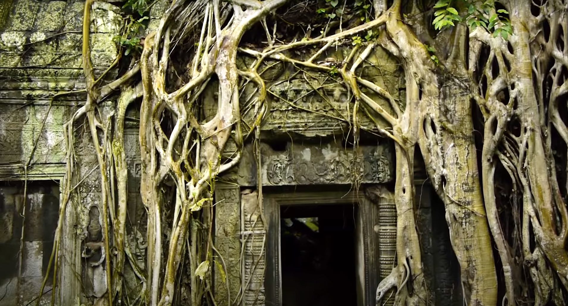 ta-prohm-tour-virtual temple cambodia
