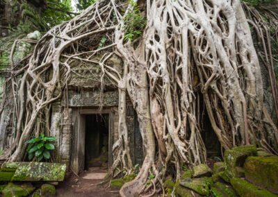 Wycieczka - Ta Prohm